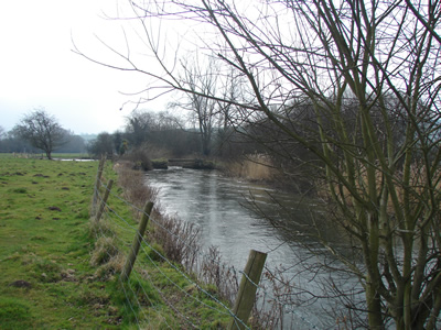 River Wylye February